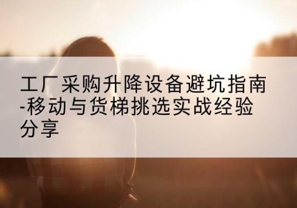 嵩县移动式升降机怎么选-工厂采购升降设备避坑指南-移动与货梯挑选实战经验分享