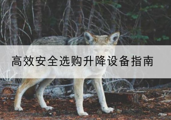 嵩县升降货梯厂家推荐-*安全选购升降设备指南