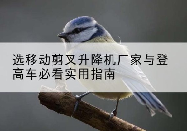 嵩县电动升降机厂家-选移动剪叉升降机厂家与登高车必看实用指南