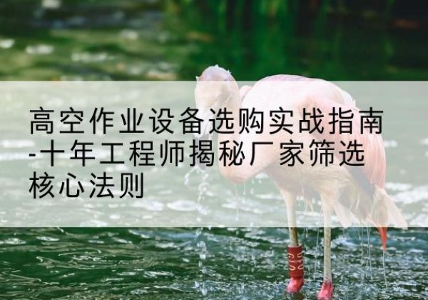 嵩县剪叉式升降机厂家-高空作业设备选购实战指南-十年工程师揭秘厂家筛选核心法则