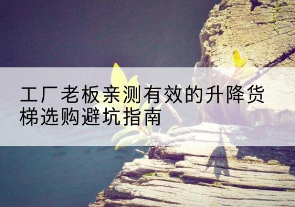 嵩县升降货梯怎么选-工厂老板亲测有效的升降货梯选购避坑指南